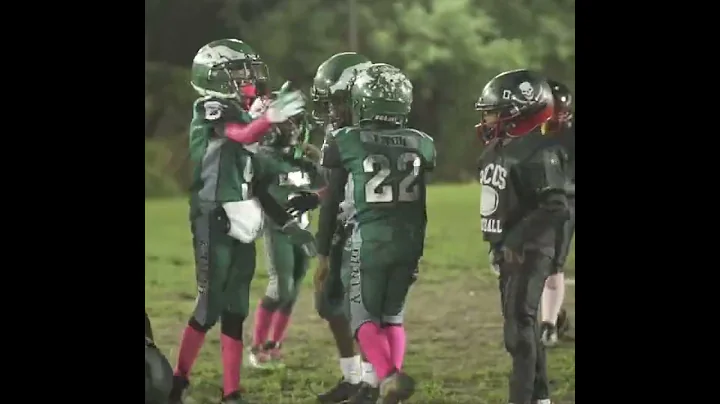 Olney Eagles 8u Homecoming Highlights vs Norf Side...