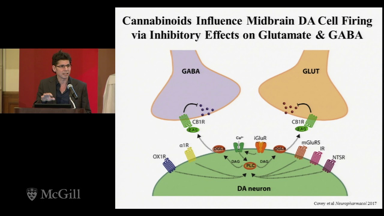 Cannabis in Canada -  Marco Leyton, PhD