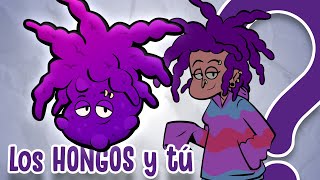 Thumbnail image for Los HONGOS son más EXTRAÑOS de lo que creías
