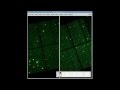 view Using multiple frames with ds9 digital asset number 1