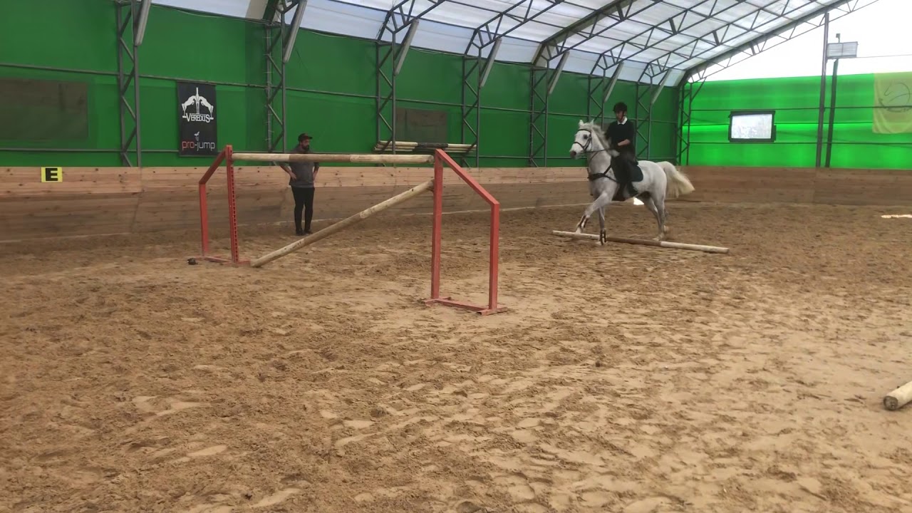 Ömerli Binicilik Hamza Tak & Cooper