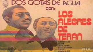 Video thumbnail of "Los Alegres De Teran - Tomando Licores"