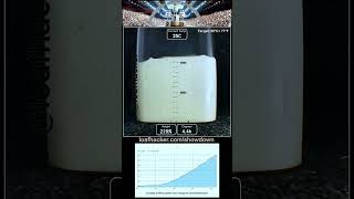 Sourdough Starter Showdown - Profile timelapse for 