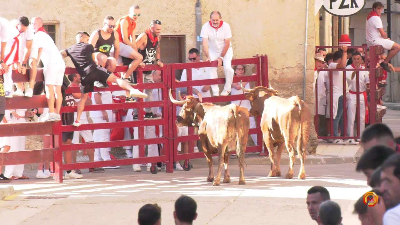 Tv Carcastillo - 06/08/2023 - Encierro Ganadería Merino Garde.