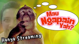 Akhirnya Kabel HDMI-ku mau Kerja Sama