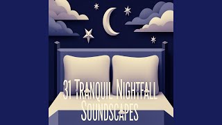 Still Nights Rest