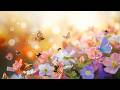 Springtime Splendor 4K | Buzzing Bees &amp; Blooming Wildflowers 🌸 A Beautiful Spring Escape