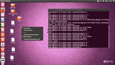Linux Command Line Basics - Wildcard,Realizing The Power of The Command Line