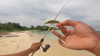 Casting UL pinggir pantai di hajar ikan predator terus tak henti-henti !!