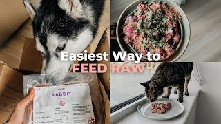Viva Raw Dog Food Review | Complete & Balanced Raw Diet | Kibble to Raw by Elaine Le 1,970 views 10 months ago 8 minutes, 51 seconds