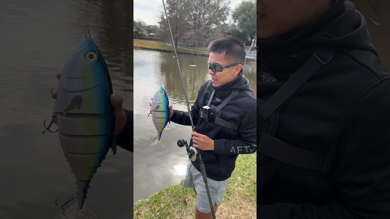  BIG Swimbait Fisherman Be Like