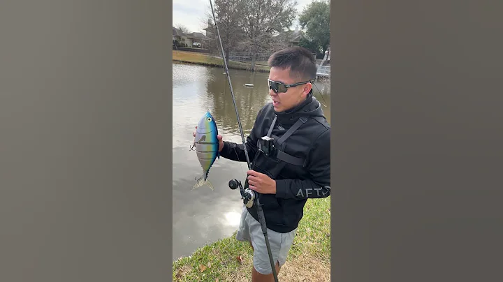 “BIG” Swimbait Fisherman Be Like... - DayDayNews