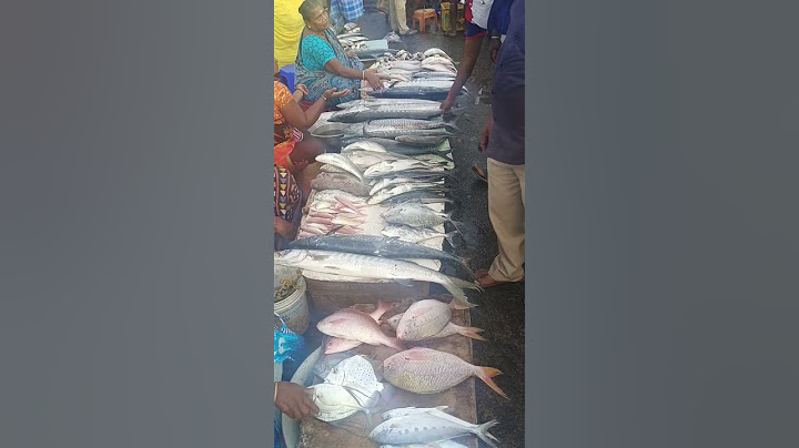 1கிலோ ஆடு 850ரூபாய் ஆனால் 1கிலோ வஞ்சுரம் 1100ரூபாய் 😬 #fish #fishing #fishmarket #fishes #sea #cute