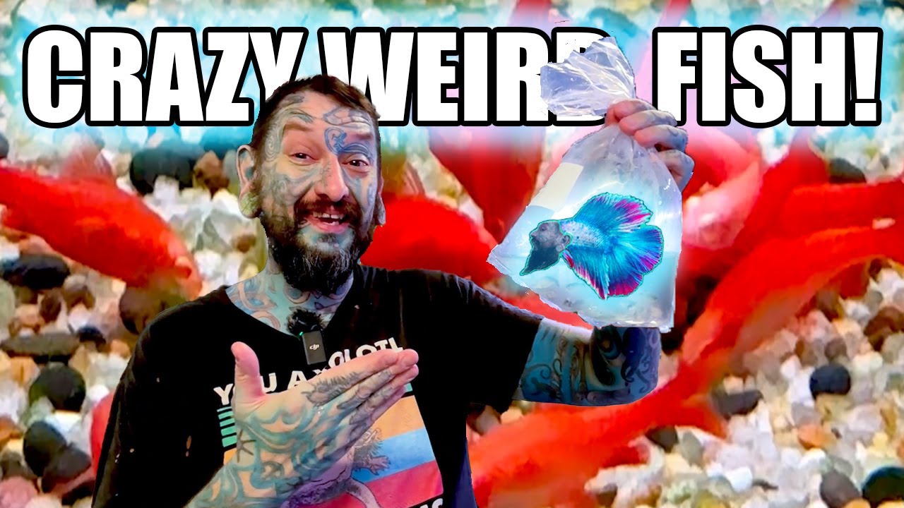 UNBOXING CRAZY COOL FISH I'VE WANTED FOR AGES! - YouTube