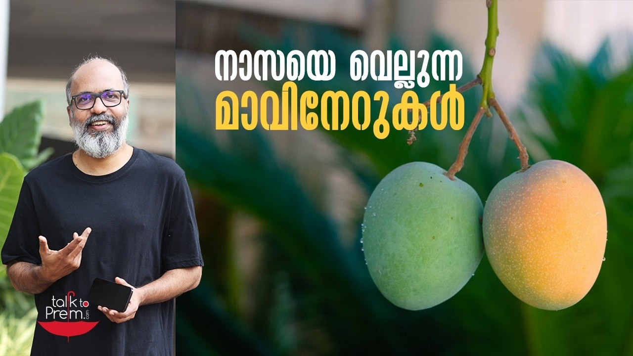 നാസയെ വെല്ലുന്ന മാവിനേറുകൾ.