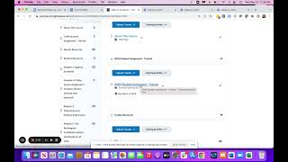 OHM   How to View a Student Attempt