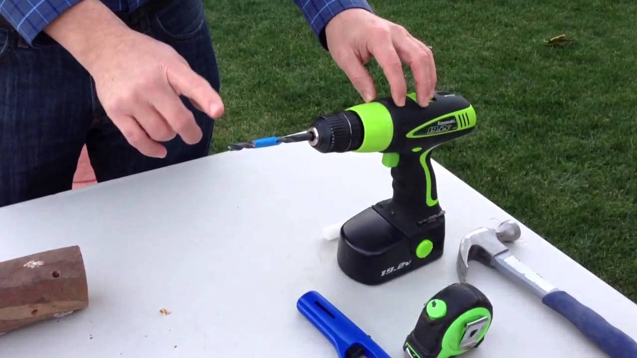 Turkey Tail Mushroom Kit YouTube