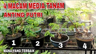 BERBAGAI MACAM MEDIA TANAM YANG COCOK UNTUK PROGRAM ANTING PUTRI
