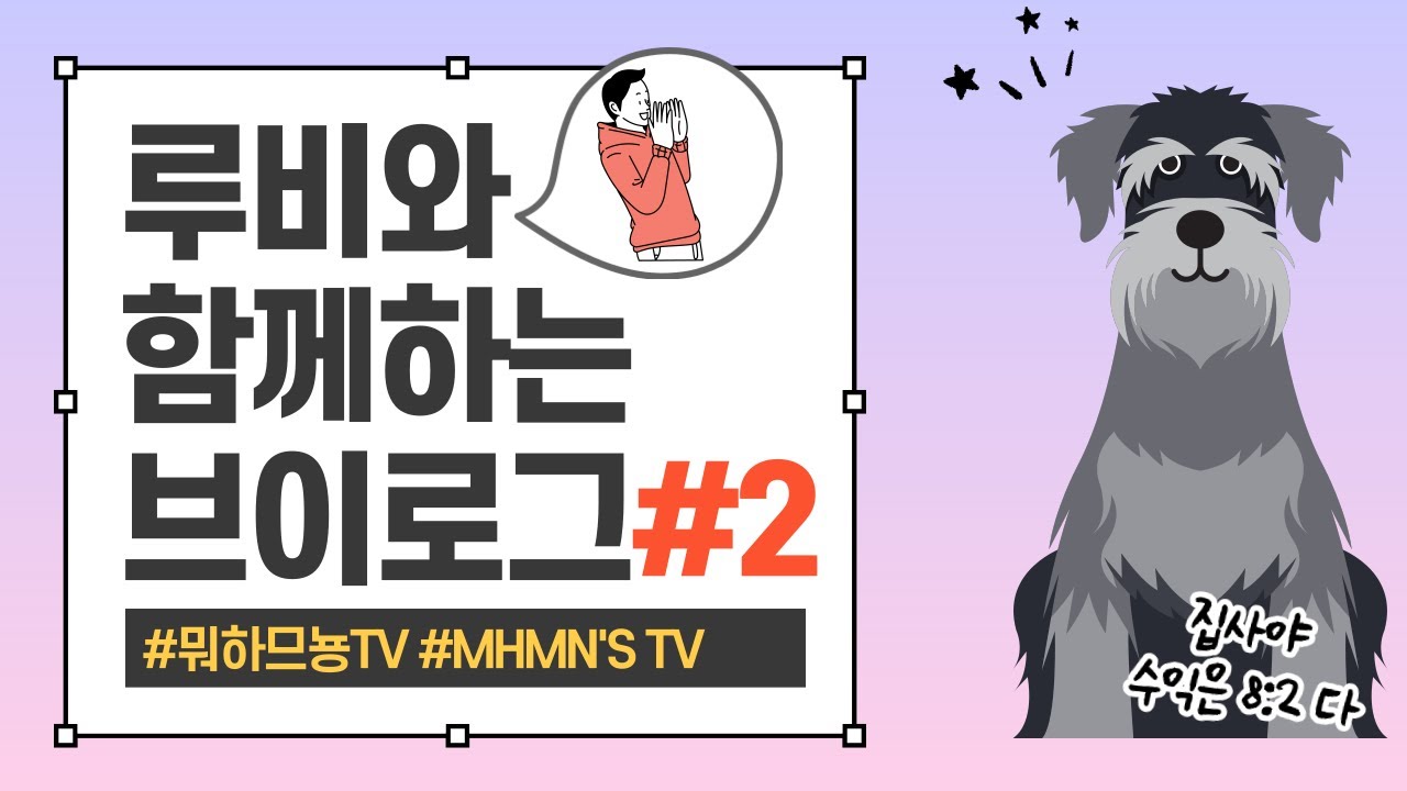 [ENG SUB] [VLOG] RUBY'S DAILY LIFE VLOG #2 / SCHNAUZER  VLOG IN KOREA / PET DOG'S DAILY / 루비의 행복한 일상