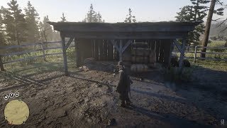 Rdr2 online sammler