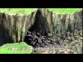 映画『ドラゴンボールZ 復活の「F」』Z戦士編