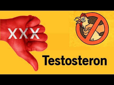 Video: Masturbation Und Testosteron: Was Ist Der Zusammenhang?