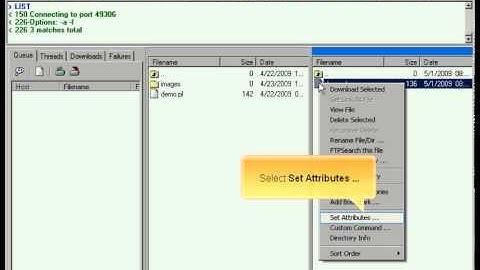 LeechFTP Transferring files By Host4Go Tutorials