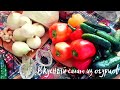 Очень вкусный салат из огурцов на зиму. Бабушкины рецепты