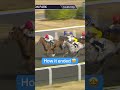 A first win for Flightofthephoenix despite the tricky trip to the start! 💪 #horseracing