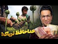 افزایش عجیب قیمت تریاک بررسی علل چالش ها و راه حل افزایش عجیب قیمت تریاک بررسی علل چالش ها و راه حل