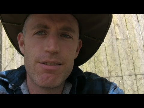 Simple Backyard Aquaponics - YouTube