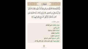 السراج في بيان غريب القران سورة ق 10 مع تلاوة الشيخ سعد الغامدي