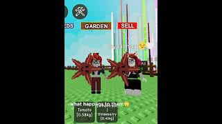 Wbestie klila Syang Bgt Ldr  bismillahfyp roblox harusberanda subrek edit ldr