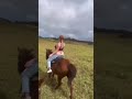 Riding a horse ??