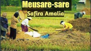 Lagu Aceh Terbaru - Meusare sare - Safira Amalia (Lirik)