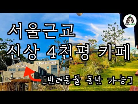 파인트리