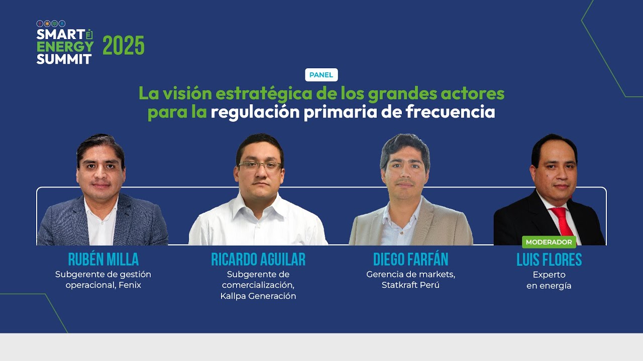 Panel: La visión estratégica de los grandes actores para la regulación primaria de frecuencia