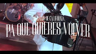 Video thumbnail of "Los Rayos De California "Para Que Quieres Volver" 2024"