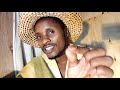 KIBERITI Imepanda Bei - This is Why | Nyakundi The Actor || 2021