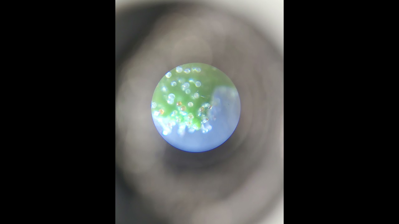 flawless trichomes under microscope