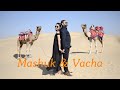 Vacha  mashuk wedding live