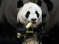100 Años de Historia en el Zoológico de Chapultepec