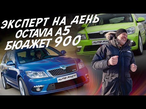 ЭКСПЕРТ НА ДЕНЬ! БЮДЖЕТ 900т.р. SKODA OCTAVIA A5! АВТОПОДБОР AUTOFACT!
