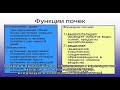 Фазлодекс® инструкция по применению лекарственного препарата