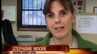 Charges filed in dog-hoarding case