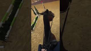 I Like To Try New Things With My Horses, Working Equitation