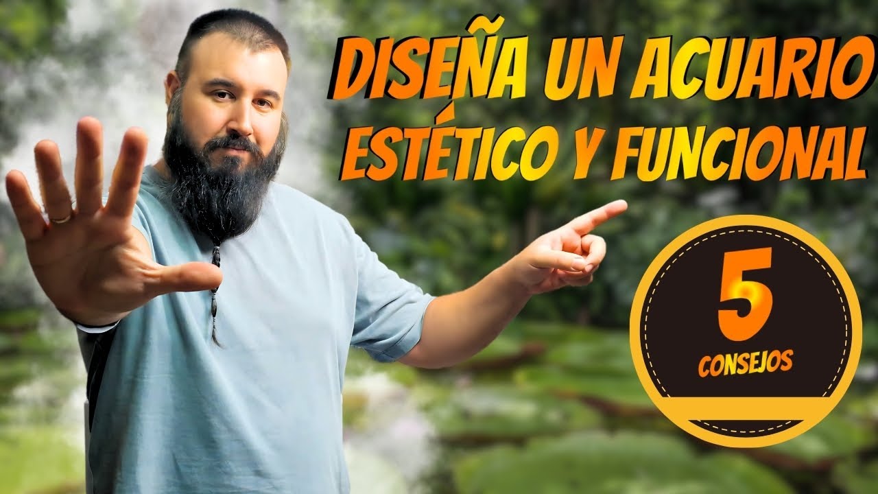 DISEÑA un ACUARIO ESTÉTICO Y FUNCIONAL 📐🌿 | 5 CONSEJOS para EVITAR ERRORES