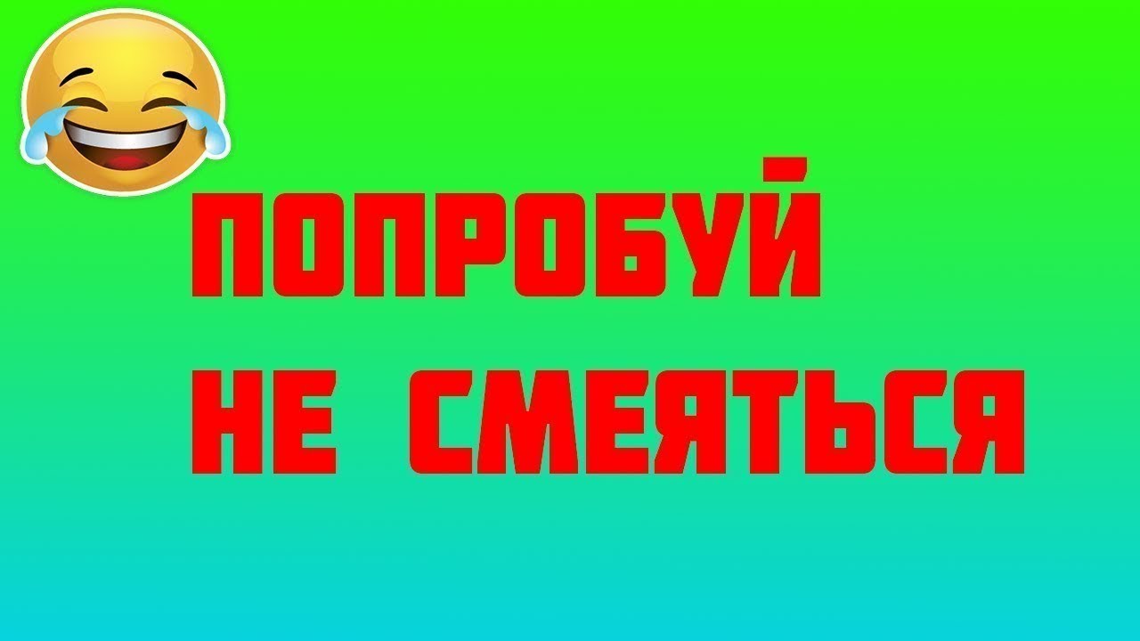 Попробуй не заметь. Попробуй не за смеятся. Не ЗАСМЕЙСЯ. Попробуй не смеяться. Не ЗАСМЕЯТЬСЯ ЧЕЛЛЕНДЖ.