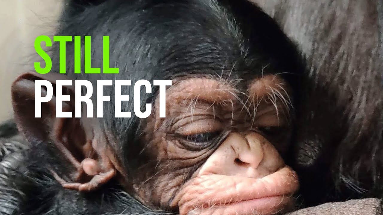 Yep. He’s Still Perfect. And He’s Got a Name!