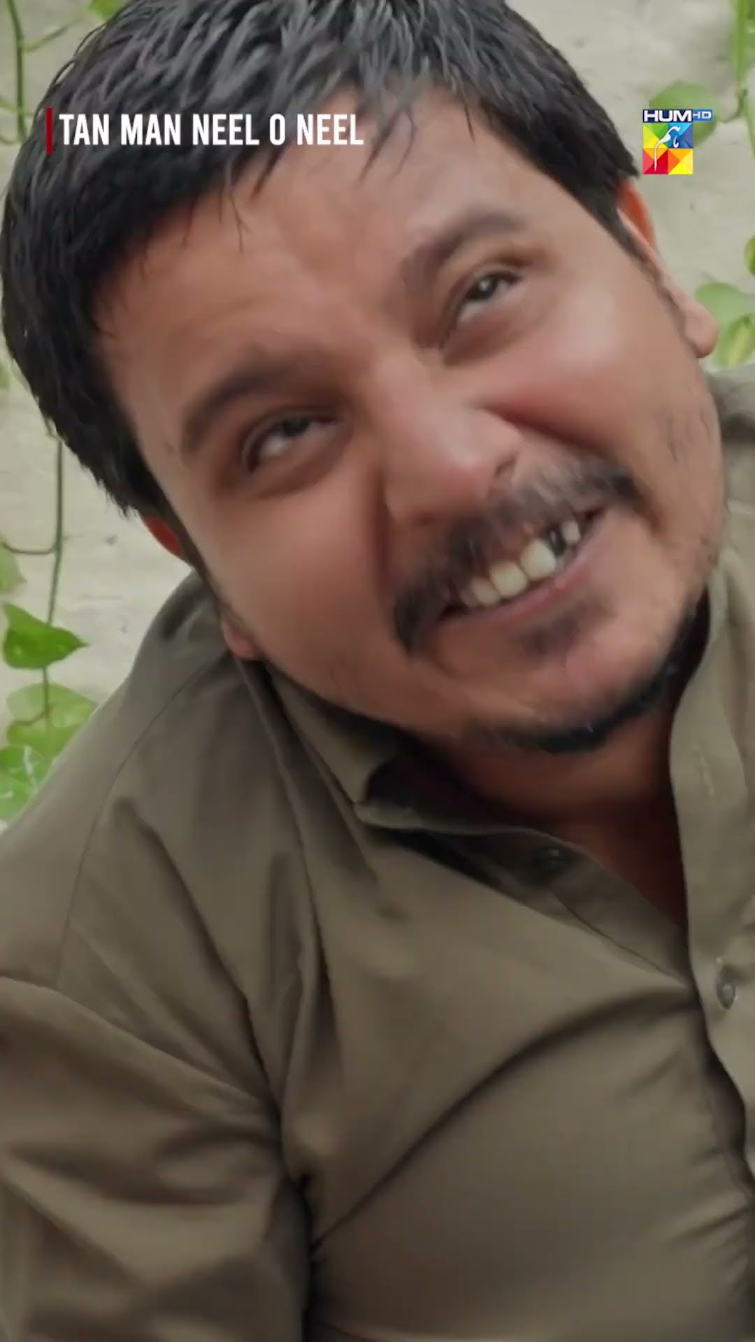 Tan Man Neel o Neel - [Best Moment] #shorts #seharkhan #shujaasad #tanmanneeloneel